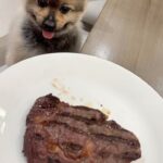 Carla Abellana Instagram - Happy 4th Birthday, my Teddy Bear Bear! Mommy loves you SOOOOOOOO MUCH, my forever puppy! 🥰🥰🥰
