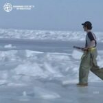 Carla Abellana Instagram - Reposted from • @hsiglobal It’s heartbreaking to see baby seals 🦭 suffer at the hands of humans. Let’s put an end to this cruelty once and for all. Join us in telling Canada it’s time to shut down the commercial seal hunt. Every voice counts! 🖊️Sign TODAY: Follow the link in our bio.