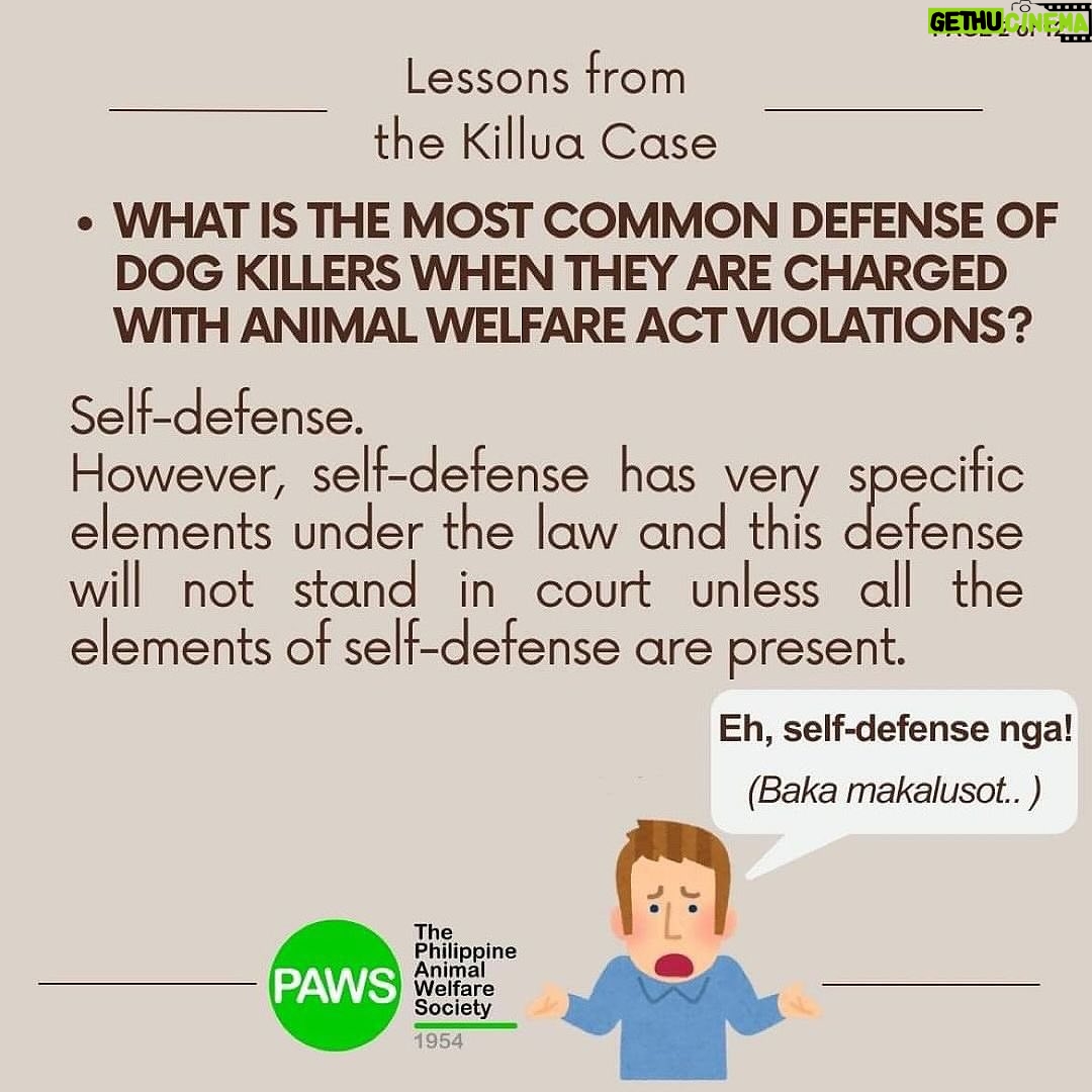 Carla Abellana Instagram - For those who want to argue, please read. Again, please read. Thank you. 🙏🏻 Reposted from @pawsphilippines We are posting answers to commonly asked questions related to the Killua dog-killing case and some lessons worth repeating to emphasize the importance of both responsible pet ownership and a humane animal control system. As we seek #JUSTICEFORKILLUA, let us also be vigilant in the campaign for humane forms of animal control and responsible pet ownership. ****** UPDATE ON #JUSTICEFORKILLUA Last Monday, PAWS and Killua’s fur-mom Vina filed a case against Anthony Solares who was caught on CCTV chasing after the dog and then beating Killua to death. The preliminary investigation is now being handled by the Office of the Provincial Prosecutor of Camarines Sur. Over the next few weeks, we are expecting a Resolution from the above mentioned office and we are also expecting that a subpoena will be issued for Solares We are grateful to volunteer lawyers from CamSur, Atty. Alyssa Mary John P. Abanes and Atty. Aldrin Carlos Niño A. Mereria, for their legal assistance. We also acknowledge and commend the bravery of the witnesses who have come forward, as well as the invaluable support rendered by the Bato Municipal Police Station.