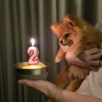 Carla Abellana Instagram – Happy 2nd Birthday, my Uni San San! Mommy loves you soooooo much! 😘😘😘