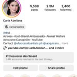 Carla Abellana Instagram -