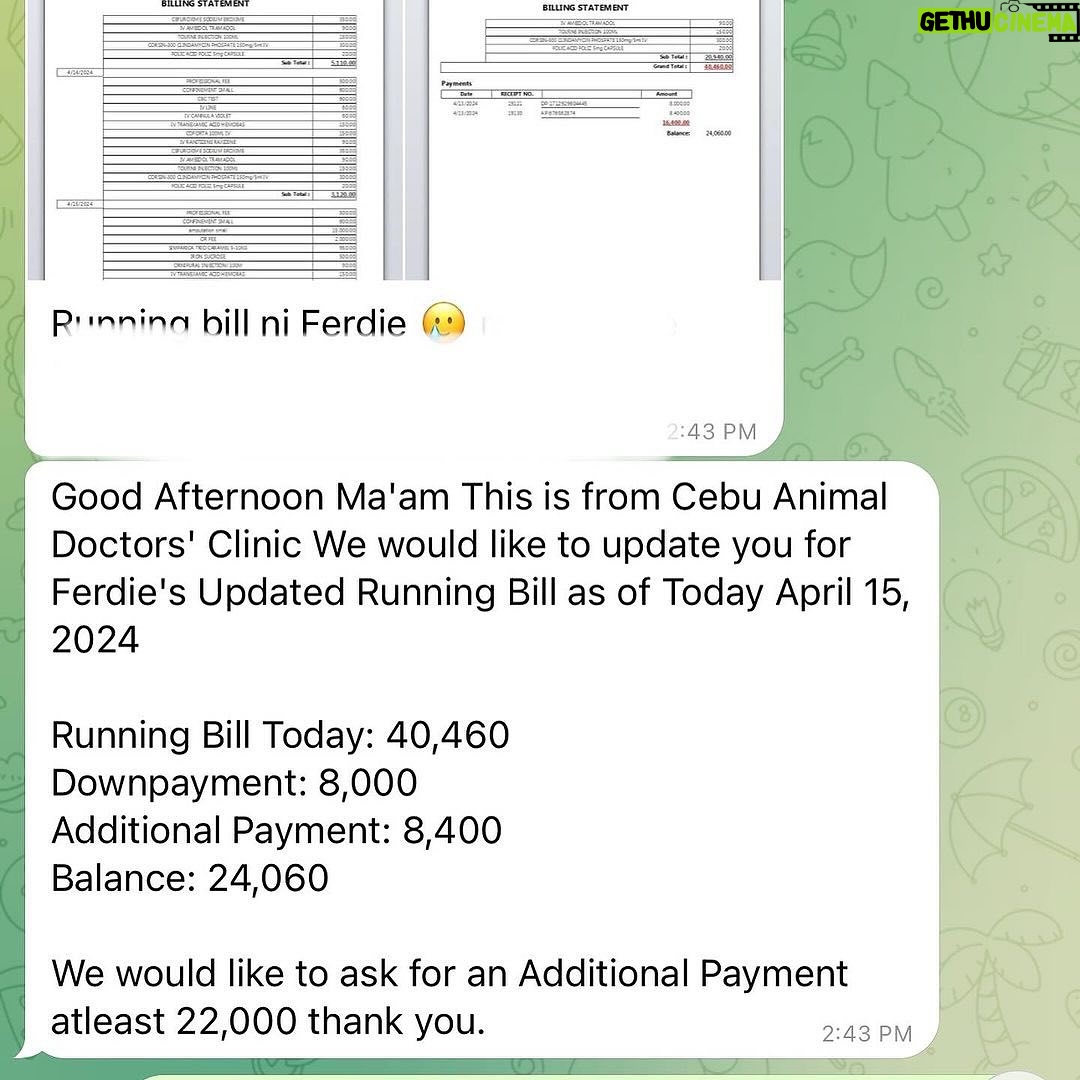 Carla Abellana Instagram - Please please please donate, even just a little. 🥺🙏🏻 Reposted from @pawssionproject Just a few of the recent cases we accommodated. Ferdie’s running bill as of 2 days ago was 40k Ayana’s surgery and initial tests and medication 67,300 A few new rescued in Bacolod 23k Kashie 21,850 Febor Initial 18k Ongoing medications and chemo sessions of the Paco dogs Atleast 9 rescues from Tandang Sora yet to be posted And these are all ongoing medications and rehab. Just for the new cases alone, we need over ₱300,000 for the rescues’ vettings and treatment. We all need your help. We have already settled atleast 50% of these. These are all on top of our monthly operational expenses of atleast 600-700 rescues for both shelters with now atleast 700 rescues. Thankfully we have inkind dogfood donations recently, without that, our monthly opex including medical missions and strayfeeding would be atleast 1M every month. Every donation and sponsorship matters to help us continue the work we do. Despite all our efforts to rehome, educate and spay and neuter, there’s still so much more to be done. Lets all help each other. For the animals.