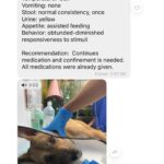 Carla Abellana Instagram – Please please please donate, even just a little. 🥺🙏🏻

Reposted from @pawssionproject 

Just a few of the recent cases we accommodated. 

Ferdie’s running bill as of 2 days ago was 40k 
Ayana’s surgery and initial tests and medication 67,300
A few new rescued in Bacolod 23k
Kashie 21,850
Febor Initial 18k 

Ongoing medications and chemo sessions of the Paco dogs 
Atleast 9 rescues from Tandang Sora yet to be posted

And these are all ongoing medications and rehab. Just for the new cases alone, we need over ₱300,000 for the rescues’ vettings and treatment. We all need your help. We have already settled atleast 50% of these. 

These are all on top of our monthly operational expenses of atleast 600-700 rescues for both shelters with now atleast 700 rescues.  Thankfully we have inkind dogfood donations recently, without that, our monthly opex including medical missions and strayfeeding would be atleast 1M every month. Every donation and sponsorship matters to help us continue the work we do. Despite all our efforts to rehome, educate and spay and neuter, there’s still so much more to be done. Lets all help each other. For the animals.