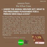 Carla Abellana Instagram – For those who want to argue, please read. Again, please read. Thank you. 🙏🏻

Reposted from @pawsphilippines 

We are posting answers to commonly asked questions related to the Killua dog-killing case and some lessons worth repeating to emphasize the importance of both responsible pet ownership and a humane animal control system. 

As we seek #JUSTICEFORKILLUA, let us also be vigilant in the campaign for humane forms of animal control and responsible pet ownership. 

******
UPDATE ON #JUSTICEFORKILLUA 
Last Monday, PAWS and Killua’s fur-mom Vina filed a case against Anthony Solares who was caught on CCTV chasing after the dog and then beating Killua to death. The preliminary investigation is now being handled by the Office of the Provincial Prosecutor of Camarines Sur. 

Over the next few weeks, we are expecting a Resolution from the above mentioned office and we are also expecting that a subpoena will be issued for Solares

We are grateful to volunteer lawyers from CamSur, Atty. Alyssa Mary John P. Abanes and Atty. Aldrin Carlos Niño A. Mereria, for their legal assistance. We also acknowledge and commend the bravery of the witnesses who have come forward, as well as the invaluable support rendered by the Bato Municipal Police Station.