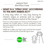 Carla Abellana Instagram - Part 2 Reposted from @pawsphilippines Here is the second part of PAWS’ answers to commonly asked questions related to the Killua dog-killing case. Included in them are some lessons worth repeating to emphasize the importance of both responsible pet ownership and a humane animal control system. The case has shone the spotlight on the fact that the reason for non-prosecution of animal offenders is not because the law is weak, but because of the refusal of many witnesses to file cases. In Bato, Camarines Sur, long before the Killua case, stray dog capture and killing by tanods and bystanders was rampant. The dogs end up in a known “ slaughterhouse” in the area. It is hoped that Killua’s case will put an end to many acts of animal cruelty in the area. With your help in this fight, we can protect animals and humans. #justiceforKillua #endanimalcruelty #animalwelfare #pawsphilippines