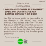 Carla Abellana Instagram - Part 2 Reposted from @pawsphilippines Here is the second part of PAWS’ answers to commonly asked questions related to the Killua dog-killing case. Included in them are some lessons worth repeating to emphasize the importance of both responsible pet ownership and a humane animal control system. The case has shone the spotlight on the fact that the reason for non-prosecution of animal offenders is not because the law is weak, but because of the refusal of many witnesses to file cases. In Bato, Camarines Sur, long before the Killua case, stray dog capture and killing by tanods and bystanders was rampant. The dogs end up in a known “ slaughterhouse” in the area. It is hoped that Killua’s case will put an end to many acts of animal cruelty in the area. With your help in this fight, we can protect animals and humans. #justiceforKillua #endanimalcruelty #animalwelfare #pawsphilippines
