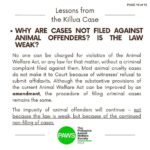 Carla Abellana Instagram - Part 2 Reposted from @pawsphilippines Here is the second part of PAWS’ answers to commonly asked questions related to the Killua dog-killing case. Included in them are some lessons worth repeating to emphasize the importance of both responsible pet ownership and a humane animal control system. The case has shone the spotlight on the fact that the reason for non-prosecution of animal offenders is not because the law is weak, but because of the refusal of many witnesses to file cases. In Bato, Camarines Sur, long before the Killua case, stray dog capture and killing by tanods and bystanders was rampant. The dogs end up in a known “ slaughterhouse” in the area. It is hoped that Killua’s case will put an end to many acts of animal cruelty in the area. With your help in this fight, we can protect animals and humans. #justiceforKillua #endanimalcruelty #animalwelfare #pawsphilippines