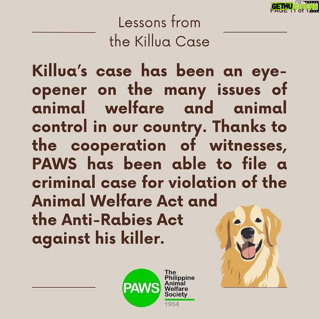 Carla Abellana Instagram - Part 2 Reposted from @pawsphilippines Here is the second part of PAWS’ answers to commonly asked questions related to the Killua dog-killing case. Included in them are some lessons worth repeating to emphasize the importance of both responsible pet ownership and a humane animal control system. The case has shone the spotlight on the fact that the reason for non-prosecution of animal offenders is not because the law is weak, but because of the refusal of many witnesses to file cases. In Bato, Camarines Sur, long before the Killua case, stray dog capture and killing by tanods and bystanders was rampant. The dogs end up in a known “ slaughterhouse” in the area. It is hoped that Killua’s case will put an end to many acts of animal cruelty in the area. With your help in this fight, we can protect animals and humans. #justiceforKillua #endanimalcruelty #animalwelfare #pawsphilippines