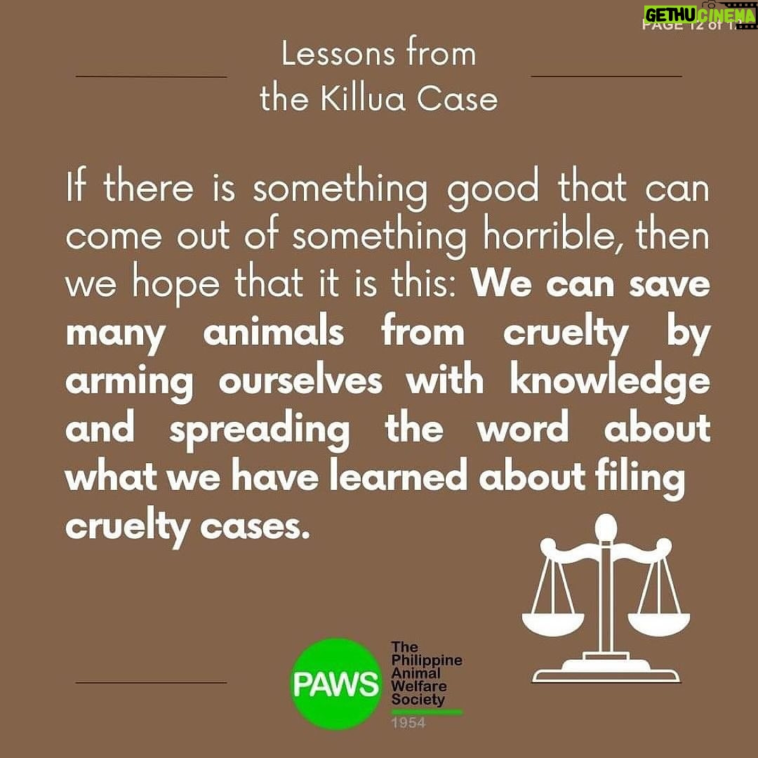 Carla Abellana Instagram - Part 2 Reposted from @pawsphilippines Here is the second part of PAWS’ answers to commonly asked questions related to the Killua dog-killing case. Included in them are some lessons worth repeating to emphasize the importance of both responsible pet ownership and a humane animal control system. The case has shone the spotlight on the fact that the reason for non-prosecution of animal offenders is not because the law is weak, but because of the refusal of many witnesses to file cases. In Bato, Camarines Sur, long before the Killua case, stray dog capture and killing by tanods and bystanders was rampant. The dogs end up in a known “ slaughterhouse” in the area. It is hoped that Killua’s case will put an end to many acts of animal cruelty in the area. With your help in this fight, we can protect animals and humans. #justiceforKillua #endanimalcruelty #animalwelfare #pawsphilippines