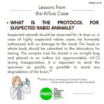 Carla Abellana Instagram – For those who want to argue, please read. Again, please read. Thank you. 🙏🏻

Reposted from @pawsphilippines 

We are posting answers to commonly asked questions related to the Killua dog-killing case and some lessons worth repeating to emphasize the importance of both responsible pet ownership and a humane animal control system. 

As we seek #JUSTICEFORKILLUA, let us also be vigilant in the campaign for humane forms of animal control and responsible pet ownership. 

******
UPDATE ON #JUSTICEFORKILLUA 
Last Monday, PAWS and Killua’s fur-mom Vina filed a case against Anthony Solares who was caught on CCTV chasing after the dog and then beating Killua to death. The preliminary investigation is now being handled by the Office of the Provincial Prosecutor of Camarines Sur. 

Over the next few weeks, we are expecting a Resolution from the above mentioned office and we are also expecting that a subpoena will be issued for Solares

We are grateful to volunteer lawyers from CamSur, Atty. Alyssa Mary John P. Abanes and Atty. Aldrin Carlos Niño A. Mereria, for their legal assistance. We also acknowledge and commend the bravery of the witnesses who have come forward, as well as the invaluable support rendered by the Bato Municipal Police Station.