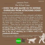Carla Abellana Instagram - For those who want to argue, please read. Again, please read. Thank you. 🙏🏻 Reposted from @pawsphilippines We are posting answers to commonly asked questions related to the Killua dog-killing case and some lessons worth repeating to emphasize the importance of both responsible pet ownership and a humane animal control system. As we seek #JUSTICEFORKILLUA, let us also be vigilant in the campaign for humane forms of animal control and responsible pet ownership. ****** UPDATE ON #JUSTICEFORKILLUA Last Monday, PAWS and Killua’s fur-mom Vina filed a case against Anthony Solares who was caught on CCTV chasing after the dog and then beating Killua to death. The preliminary investigation is now being handled by the Office of the Provincial Prosecutor of Camarines Sur. Over the next few weeks, we are expecting a Resolution from the above mentioned office and we are also expecting that a subpoena will be issued for Solares We are grateful to volunteer lawyers from CamSur, Atty. Alyssa Mary John P. Abanes and Atty. Aldrin Carlos Niño A. Mereria, for their legal assistance. We also acknowledge and commend the bravery of the witnesses who have come forward, as well as the invaluable support rendered by the Bato Municipal Police Station.