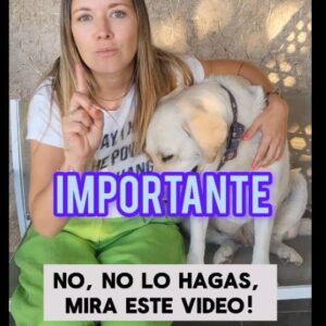 Carla Jara Instagram - Mis bellezas!!! Si tienes perro o gato comparte este video!!! Al mantener su pelo natural, se genera una cámara de aire que les ayuda con una adecuada temperatura sobre todos los días de más calor. Así ayudarás a tus animales de compañía en invierno o verano!!! 🐶🐱#verano #doglover #catlover #petlover