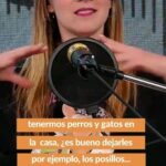 Carla Jara Instagram - Hola mis bellezas!!! Ya está disponible el tercer episodio de #PeludosyFelices hablamos de alimentación en nuestro perros y gatos! Vayan a escucharnos en Spotify o vernos en youtube!!! Les dejo link en mis historias🥰🐶🐱