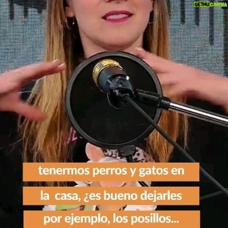 Carla Jara Instagram - Hola mis bellezas!!! Ya está disponible el tercer episodio de #PeludosyFelices hablamos de alimentación en nuestro perros y gatos! Vayan a escucharnos en Spotify o vernos en youtube!!! Les dejo link en mis historias🥰🐶🐱