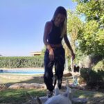 Carla Jara Instagram - Cuando te quieres sacar fotos y tu manada aparece...🤣🥰