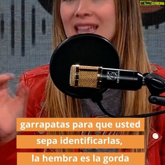 Carla Jara Instagram - Al fin mis bellezas!!!! Ya está arriba el primer episodio de mi podcast #PeludosyFelices , un podcast para aprender de animales! Hoy hablaremos de las pulgas y garrapatas, que en esta época comienzan a salir por todas partes y podría contagiar a tu perro o gato de algunas enfermedades que acá te contamos!!! Junto a la veterinaria @endocrinovetceciliadiazlovera y nuestra primera invitada @sosa_sabri 🥰🐶 Vayan a escucharlo en Spotify y también pueden verlo en Youtube, yuuujuuuuu!!!! #PeludosyFelices #Podcast #Vodcast #perros #Gatos #Pulgas #Garrapatas #TenenciaResponsable