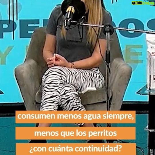Carla Jara Instagram - Mis bellezas!!! Ya está arriba un nuevo capítulo de @podcastpeludosyfelices en Spotify y Youtube, en mis stpriea les dejo el link!!! #PodCast #Perros #Gatos #Mascotas