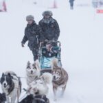 Carla Moreau Instagram - Rendez vous ce soir sur @tfxtv à 19h pour découvrir la saison de notre de mariage très heureuse de partager ces si beaux souvenirs avec vous si particulier en pleine neiges en haut des montagnes .. 🤍 j’attend vos avis ? Et pour ceux qui me demande je vous met tout les prestaires pour le mariage ⬇️ pour la partie music @mike_goldenlive pour le traiteur @sheratontraiteur pour la décoration @roni_floral_design pour le mobilier @be_lounge_officiel pour l’organisation @divaline_agency_ photographe @emmanuelbournot pour la vidéo @clipheart_by_laurentbendayan mobilier deco oriental @sud.concept