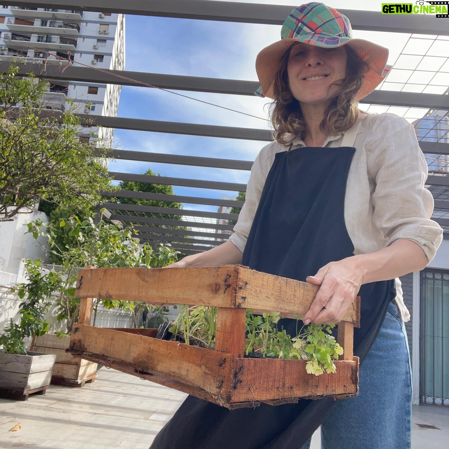 Carla Peterson Instagram - Mis verduras . Mi huerta . Mi mi mi verdulerÃa! Nada seria posible sin @delgorro 🧢 que me mando una gran selección de plantines. Si tenes ganas de armar una huerta tiene de todo y es lo más! #huerta #verde #eco #plantines