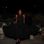 Carlacia Grant Instagram - J'aime J'adore @dior 😘 An amazing night with Dior. Head to toe in Dior Hair @hushbychloe M/U @seanharrismakeup 👗 @orettac #nyfw
