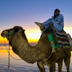 Carlacia Grant Instagram – My humps, My humps, My lovely lady lumps….. check it out. 🐪🎵🇲🇦