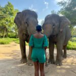 Carlacia Grant Instagram - Had the most magical day visiting the amazing elephants at the ethical Samui Elephant Kingdom. #ethicalelephantsanctuary #elephantrescue #kohsamui #kohsamuithailand