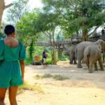 Carlacia Grant Instagram - Had the most magical day visiting the amazing elephants at the ethical Samui Elephant Kingdom. #ethicalelephantsanctuary #elephantrescue #kohsamui #kohsamuithailand
