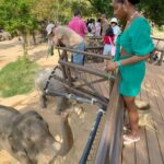 Carlacia Grant Instagram - Had the most magical day visiting the amazing elephants at the ethical Samui Elephant Kingdom. #ethicalelephantsanctuary #elephantrescue #kohsamui #kohsamuithailand