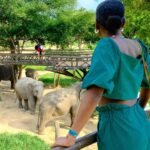 Carlacia Grant Instagram - Had the most magical day visiting the amazing elephants at the ethical Samui Elephant Kingdom. #ethicalelephantsanctuary #elephantrescue #kohsamui #kohsamuithailand