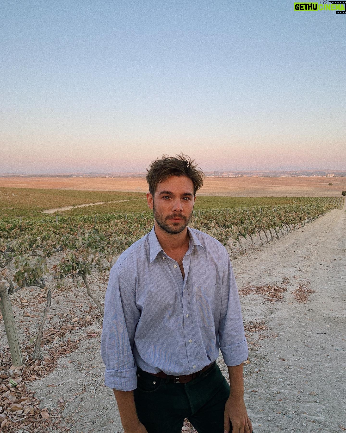 Carlos Cuevas - 306.9K Likes - Un viΓ±edo en Jerez. #ElVeranoQueVivimos