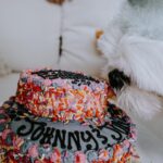 Carly Pearce Instagram – Johnny & June are 4 today!!! These 2 are truly my besties & the most unconditional lovers I’ve ever had. Here’s to living 100 years my sweets 🐶🤍🐶
