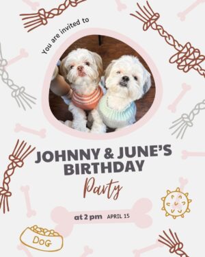 Carly Pearce Instagram - Johnny & June are 4 today!!! These 2 are truly my besties & the most unconditional lovers I’ve ever had. Here’s to living 100 years my sweets 🐶🤍🐶