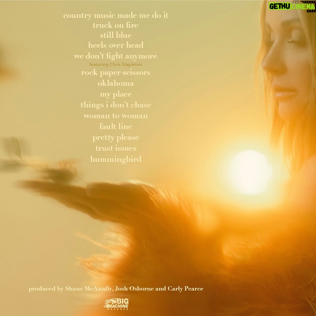 Carly Pearce Instagram - ONE MONTH until my new album ‘hummingbird’ is out 💛 I need to know which song are you most excited for?! pre-save now!
