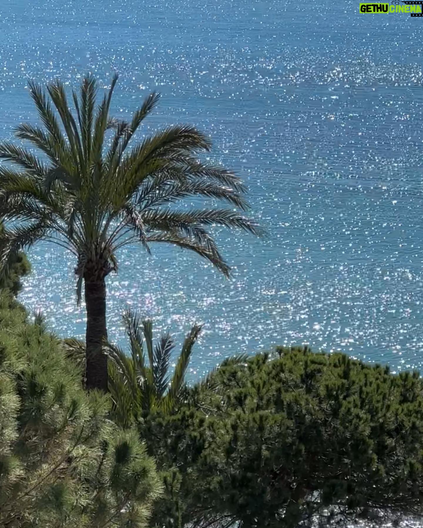 Carmel Rose Instagram - Postcards from the most perfect apartment on the French Riviera 🍓 @buckingham_lloyds