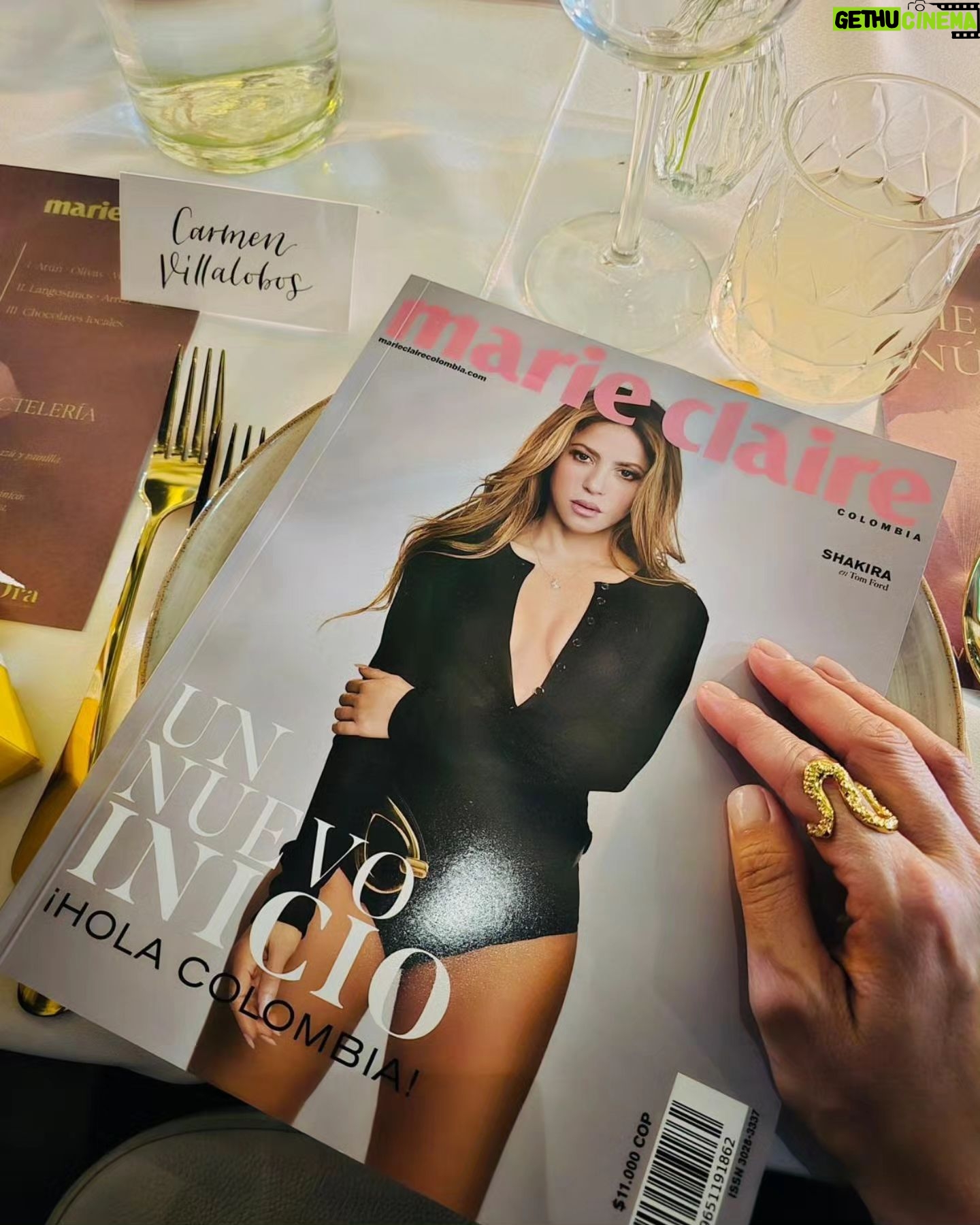 Carmen Villalobos Instagram - Una noche con mucho estilo y dándole la bienvenida a Colombia a @marieclairecolombia 🤎 ! @gerardangulo @jorge.malave @mabelmoreno1 @carosepulvedaf @h.cubel