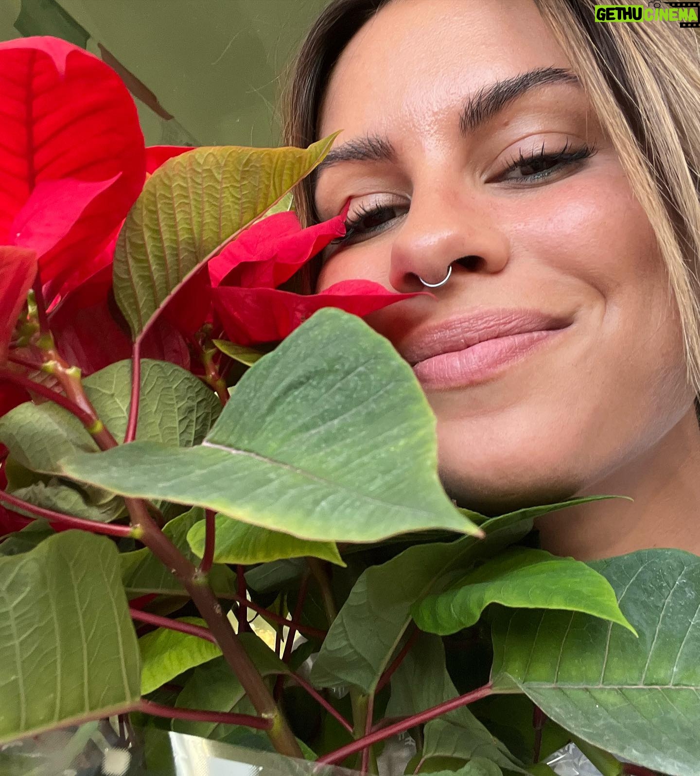 Carolina Loureiro Instagram - mais um fecho de ciclo. mais uma personagem. mais experiências e pessoas incríveis. até sempre gabriela ❤️🔥❤️🔥❤️🔥 foi um prazer 🫶