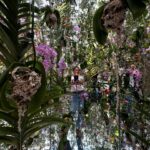 Carolina de Moras Instagram - Todos los colores y sensaciones en @teamlab.planets Tokio. The best experience!