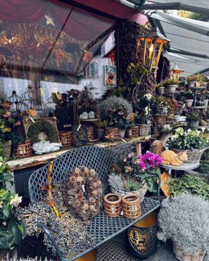 Carolina de Moras Instagram - Random Zurich. ❤️⭐️ 

#traveling #travel  #travelphotography #zurich #switzerland #wintervibes