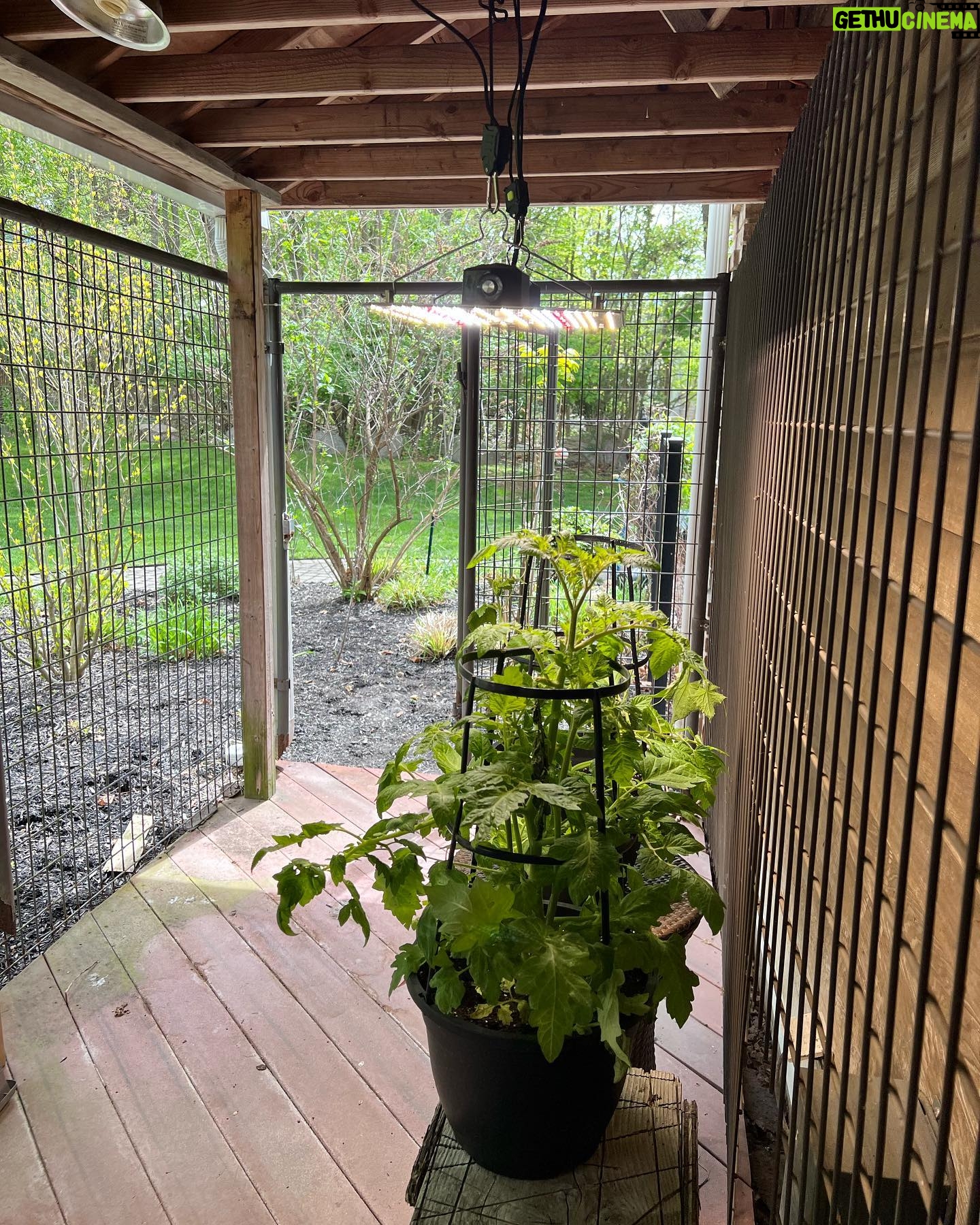 Caroline Manzo Instagram - Itβs that time of year! My handsome gardener setting up the beginnings of our herb garden and some flowers on the deck too. Lots more to do, love to see the process and the progress! β€οΈπͺ΄πΌππ #gardening #gardenlife #vegetablegarden