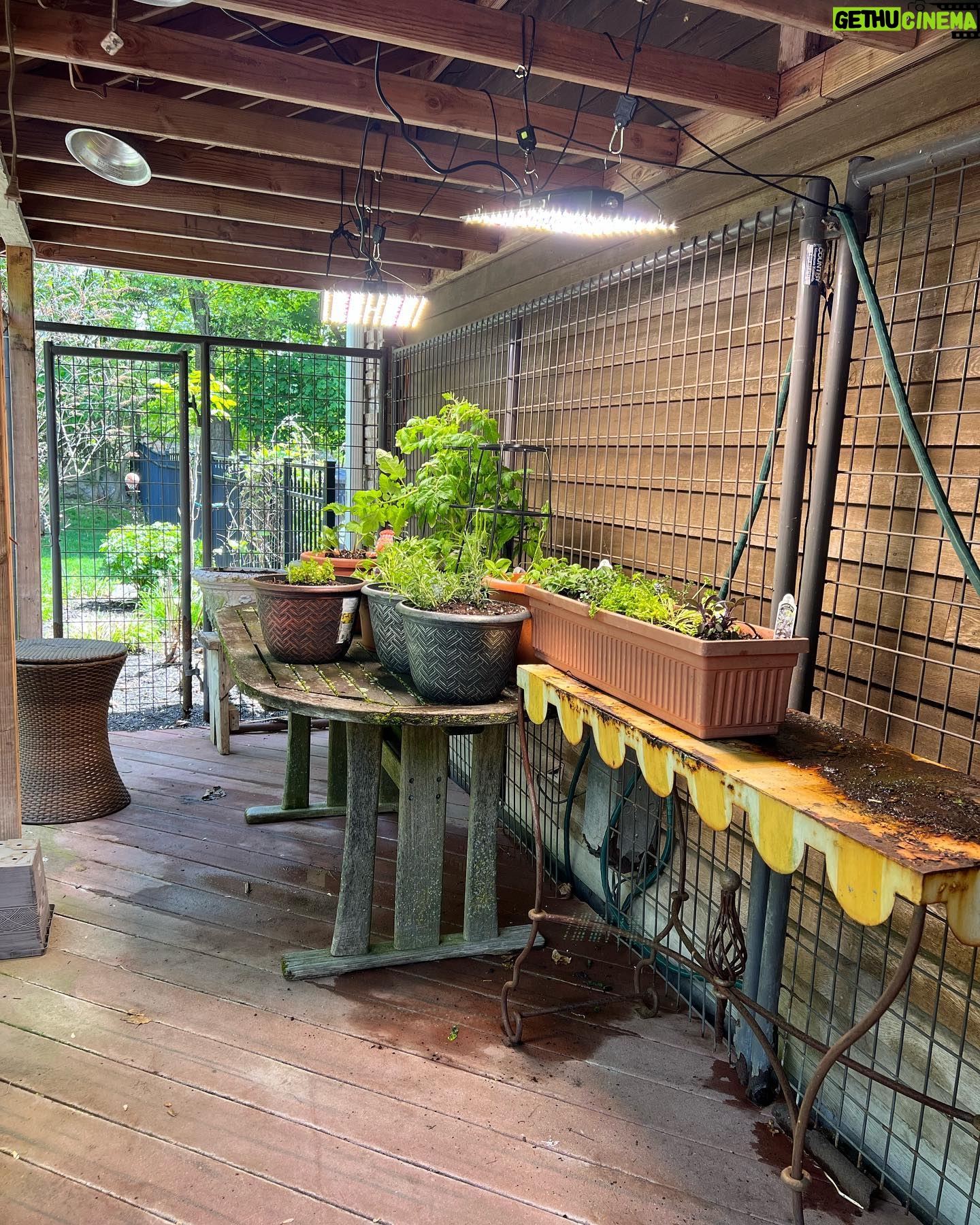 Caroline Manzo Instagram - Itβs that time of year! My handsome gardener setting up the beginnings of our herb garden and some flowers on the deck too. Lots more to do, love to see the process and the progress! β€οΈπͺ΄πΌππ #gardening #gardenlife #vegetablegarden