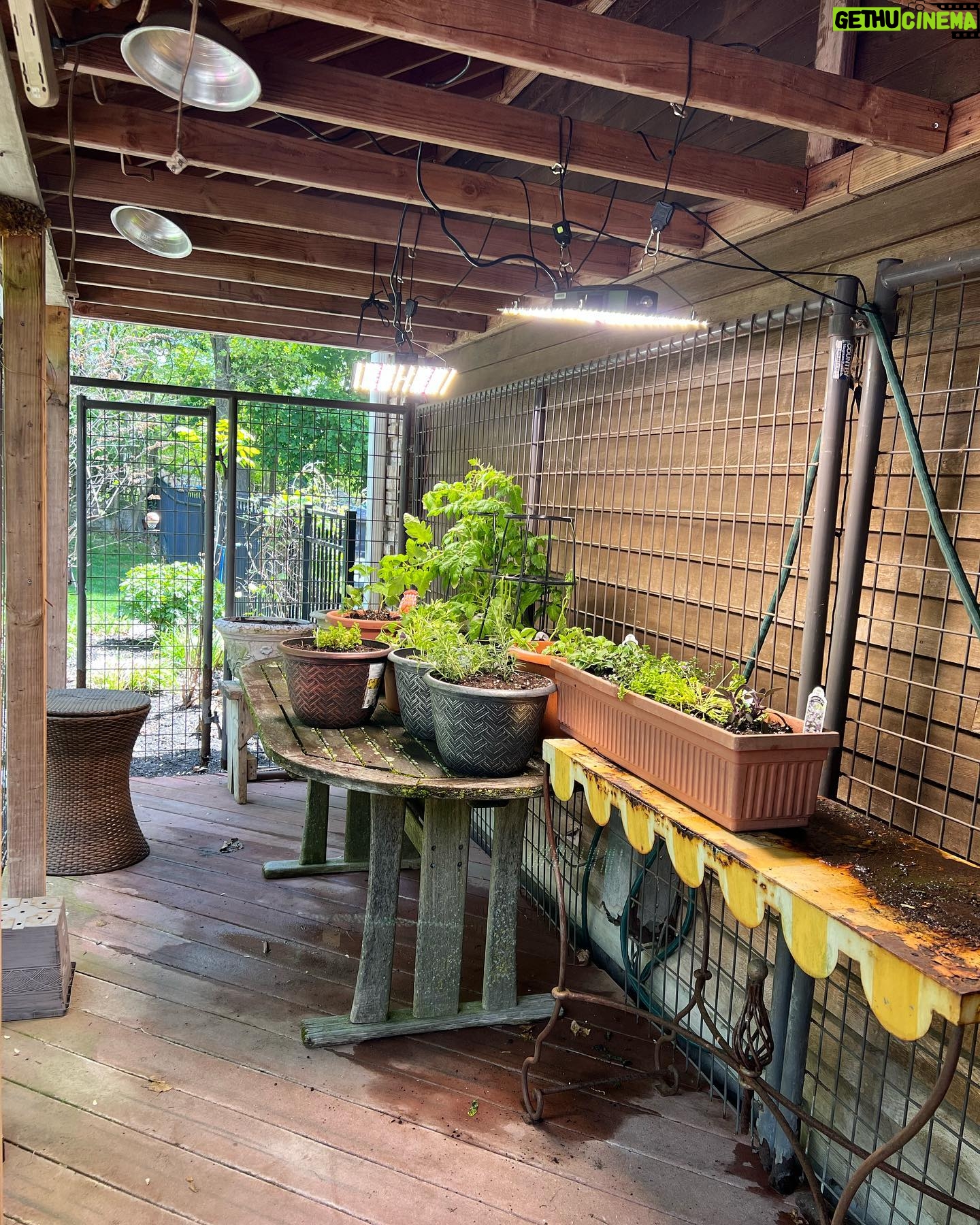 Caroline Manzo Instagram - Itβs that time of year! My handsome gardener setting up the beginnings of our herb garden and some flowers on the deck too. Lots more to do, love to see the process and the progress! β€οΈπͺ΄πΌππ #gardening #gardenlife #vegetablegarden