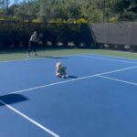 Caroline Wozniacki Instagram - Working hard or hardly working??? 😜 (Don’t worry Olivia was safe, but don’t try this at home 😜)
