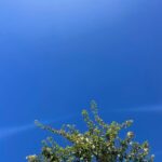 Carrie Bickmore Instagram - Beautiful weekend back home in Perth with friends and family. The sky is always just so blue and never ending ☀️