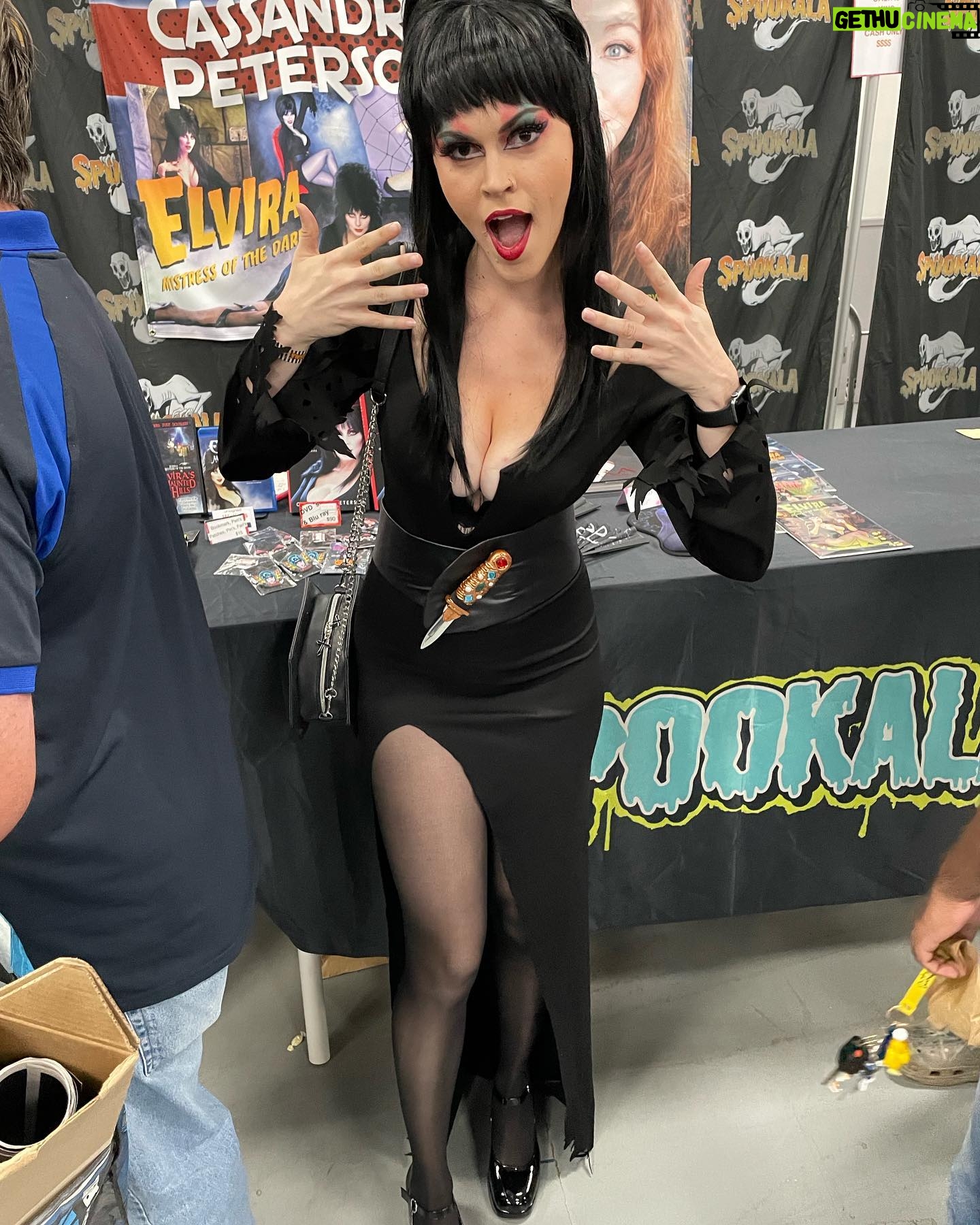 Cassandra Peterson - 43K Likes - So much fun seeing all the Elvira cosplay this weekend @spookalafl 🖤