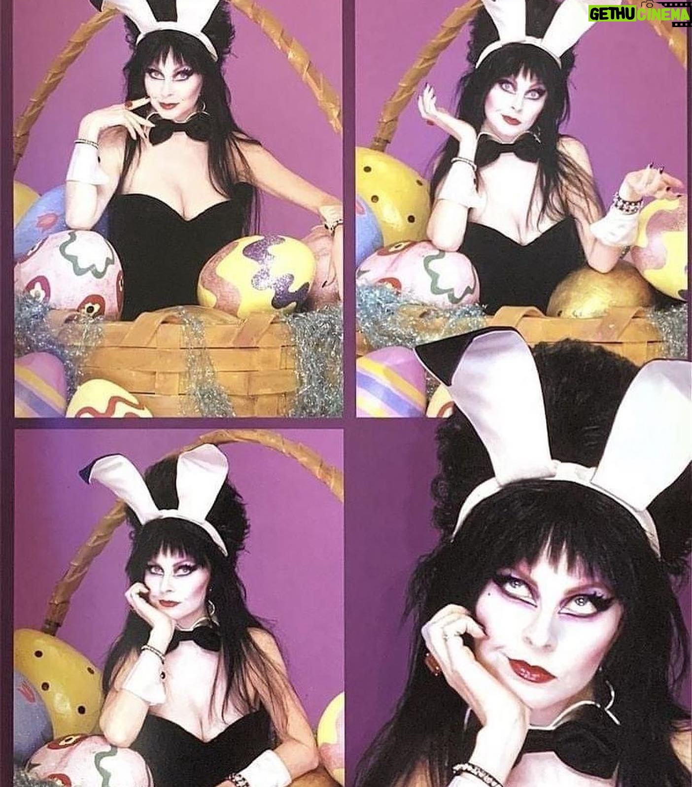 Cassandra Peterson - 53.3K Likes - Love! Haha 🖤 @spookylilpeach recreated my Easter Bunny photo shoot! 🐇🥚💐
#elvira #elviramistressofthedark