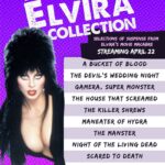 Cassandra Peterson Instagram - Get ready to scream, sis! 💀🕷️ The Elvira Collection is NOW STREAMING on @wowpresentsplus - 10 classic campy horror films, hosted and commentated on by @therealelvira, Mistress of the Dark! Tune in to The Elvira Collection now on @wowpresentsplus in the U.S. and Canada