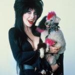 Cassandra Peterson Instagram - Happy #nationalpetday 🐩💕🖤💕