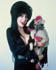 Cassandra Peterson Instagram - Happy #nationalpetday 🐩💕🖤💕