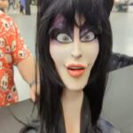 Cassandra Peterson Instagram - I want to sincerely thank the promoters @spookalafl for their very generous donation to the Human Rights Campaign (HRC) Foundation on my behalf! Also, a huge thank you to everyone who came to see me!