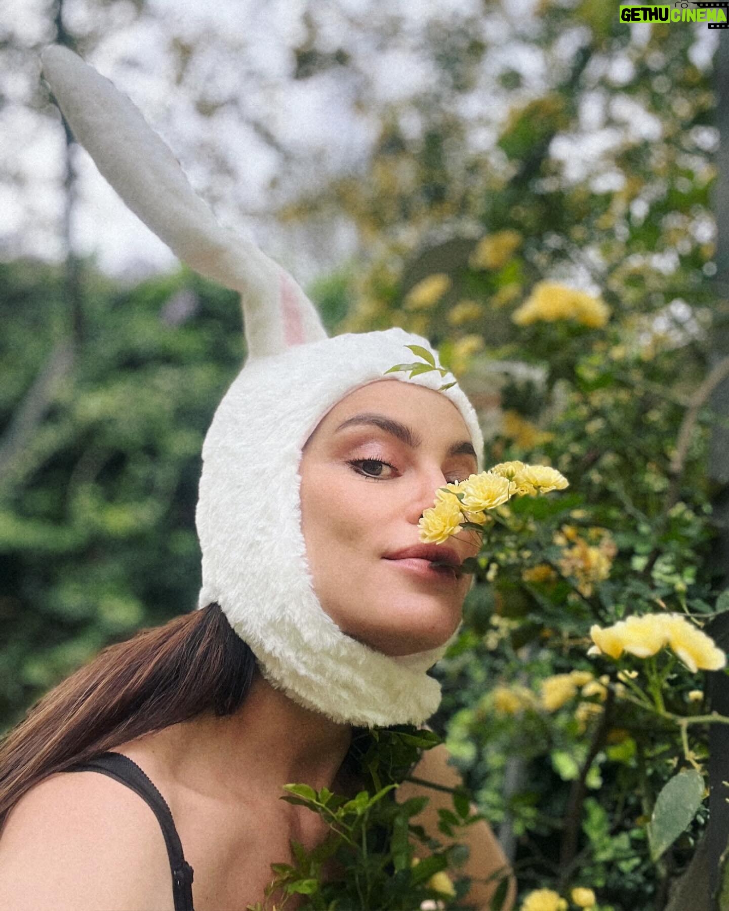 Catrinel Marlon Instagram - Bunny #Easter